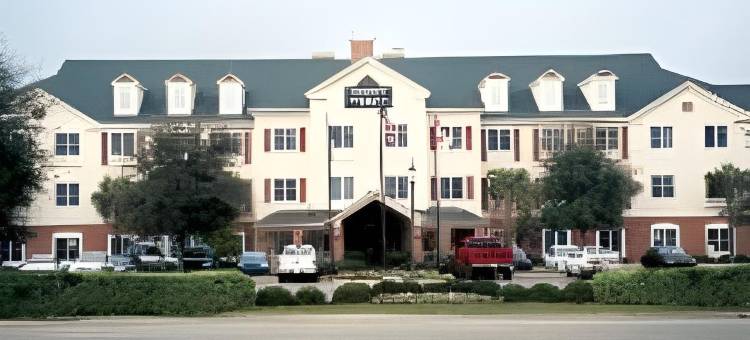 希尔顿德斯廷 Spark(Spark by Hilton Destin)图片