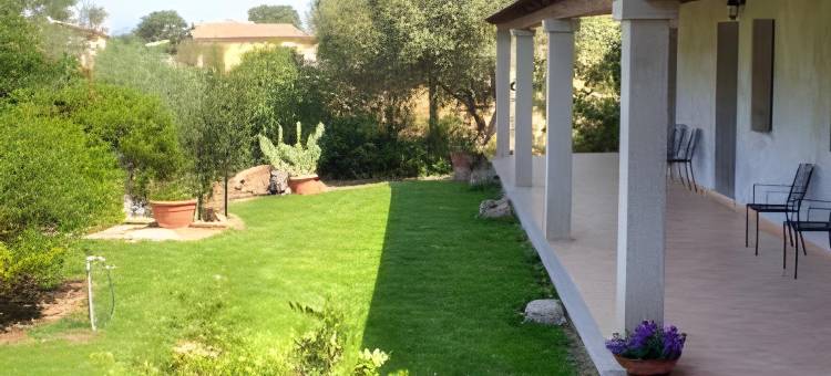 多莫米娜努米里乌(Domo Minnannu Miriu)图片