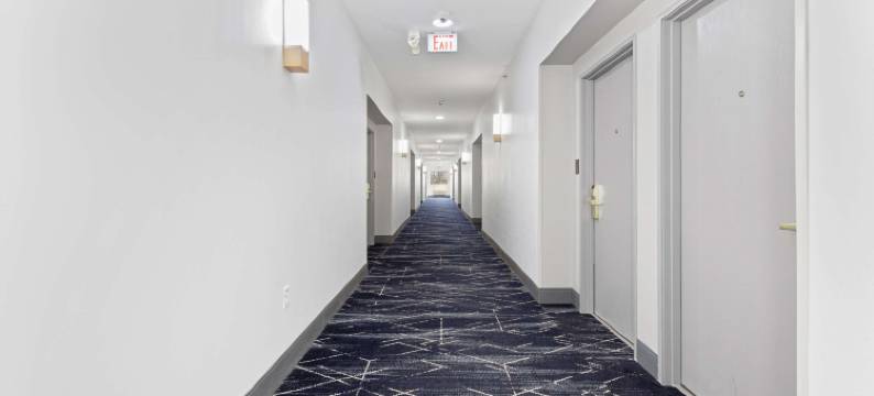 伦巴德阿狄森舒适套房酒店(Comfort Suites Lombard/Addison)图片