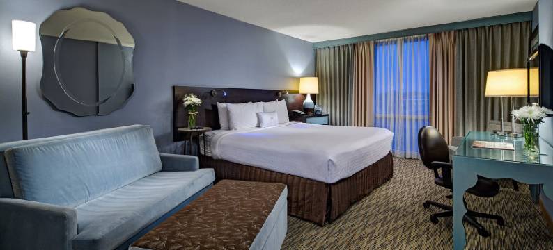 芝加哥奥黑尔皇冠假日酒店与会议中心(Crowne Plaza CHICAGO OHARE HOTEL & CONF CTR by IHG)图片