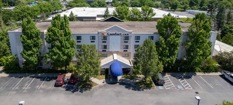 舒适酒店(Comfort Inn)图片