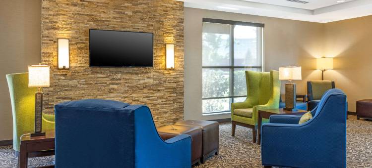 克罗斯普雷克斯乡村舒适套房酒店(Comfort Inn & Suites at CrossPlex Village)图片