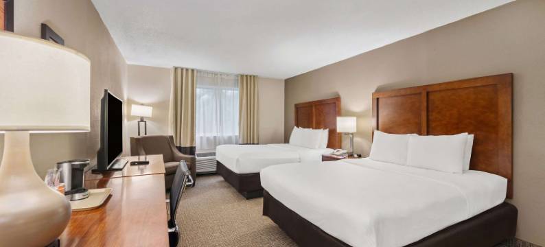 迈尔斯堡舒适酒店(Comfort Inn Fort Myers Northeast)图片