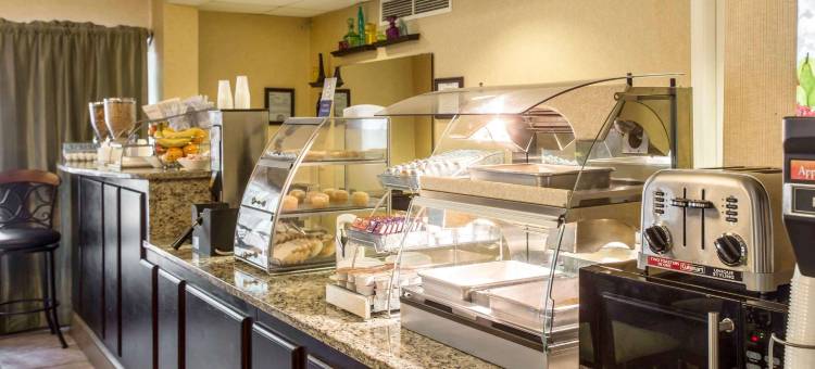 艾肯南克拉丽奥酒店及套房(Clarion Inn & Suites Aiken South)图片