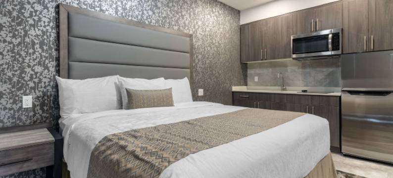 胡伊酒店 - 阿桑德连锁酒店(The Hue Hotel, Ascend Hotel Collection)图片