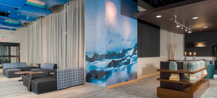 美国尼亚加拉瀑布万怡酒店(Courtyard Niagara Falls, USA)图片