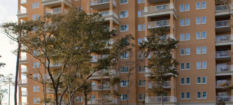 万豪大沙丘观洋别墅酒店(Marriott's OceanWatch Villas at Grande Dunes)图片