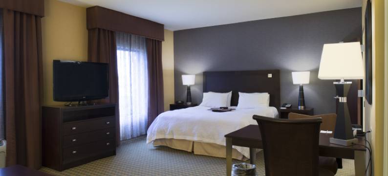 文兰德希尔顿欢朋旅馆&套房酒店(Hampton Inn & Suites Vineland)图片