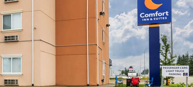 埃德森舒适酒店(Comfort Inn & Suites)图片