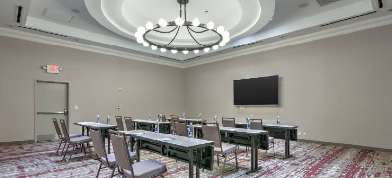 达拉斯阿林顿希尔顿花园酒店(Hilton Garden Inn Dallas/Arlington)图片