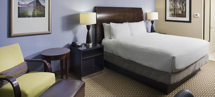 希尔顿花园旅馆-罗利德罕机场(Hilton Garden Inn Raleigh-Durham Airport)图片