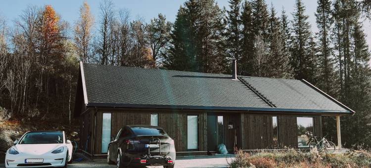 Modern Mountain Cabin - Sauna - 5 Bedrooms - Sleeps for 10图片