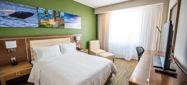 希尔顿欢朋酒店-圣多明各机场(Hampton by Hilton Santo Domingo Airport)图片