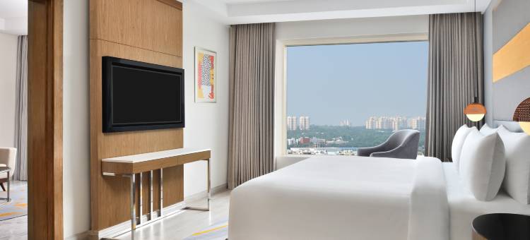 海得拉巴艾美酒店(Le Meridien Hyderabad)图片