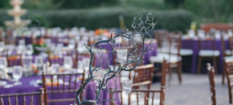 圣奥古斯丁世界高尔夫乡村万丽度假酒店(World Golf Village Renaissance St. Augustine Resort)图片