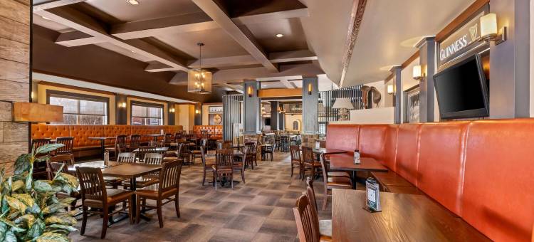 Wingate by Wyndham Calgary South图片