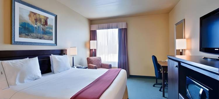 Holiday Inn Express 柴登(Holiday Inn Express Dryden)图片