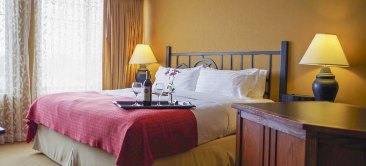 Holiday Inn 皮沃基密尔沃基西 by IHG(Holiday Inn Pewaukee-Milwaukee West)图片