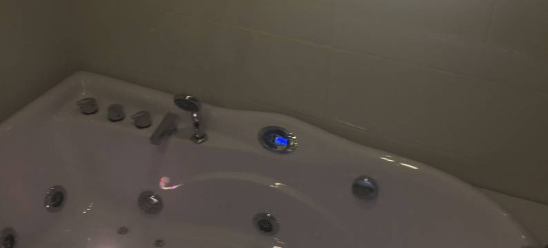 沃特宅邸酒店(Maison d'Hotes la Voute)图片