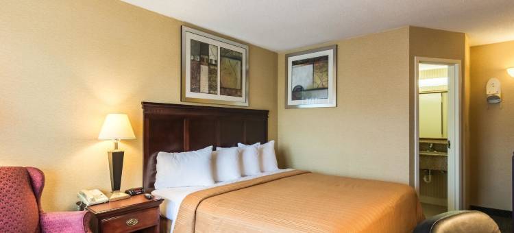 凯艺酒店(Quality Inn)图片