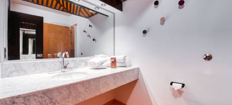 格勒诺布尔联合办公公寓(COWOOL Grenoble)图片