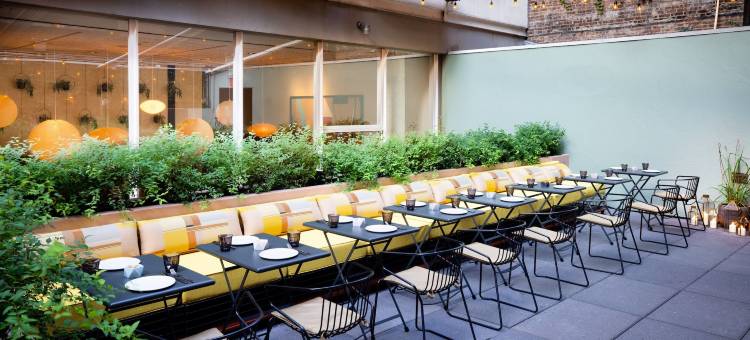 阿拉梅达高线酒店(Selina Chelsea NYC)图片