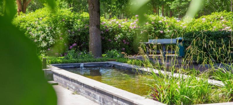 布拉班特的小房子，带舒适露台(Tiny House in Brabant with Cozy Terrace)图片