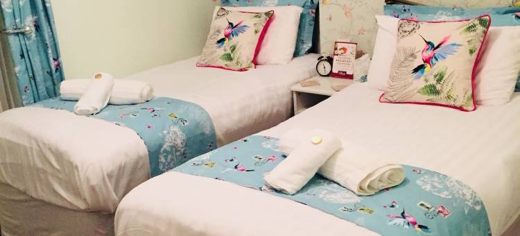 海蒂民宿(The Heidi Bed & Breakfast)图片