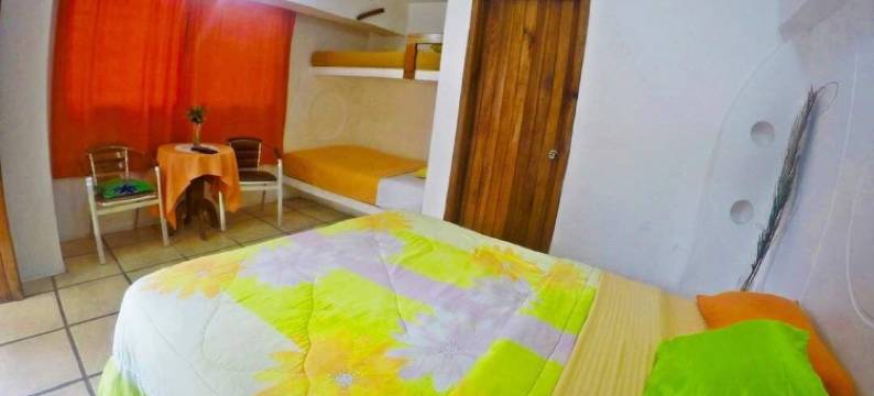 酒店椰子(Hotel Cocos)图片