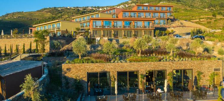 Vila Galé Douro Vineyards 杜罗酒庄与自然度假村(Vila Gale Douro Vineyards)图片