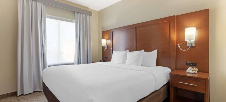 舒适套房酒店-西达拉斯科克雷尔山(Comfort Suites West Dallas - Cockrell Hill)图片