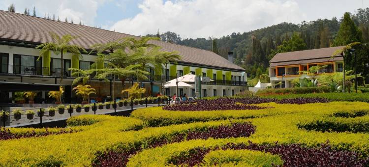 干枝假日度假村酒店(Mikie Holiday Resort & Hotel)图片