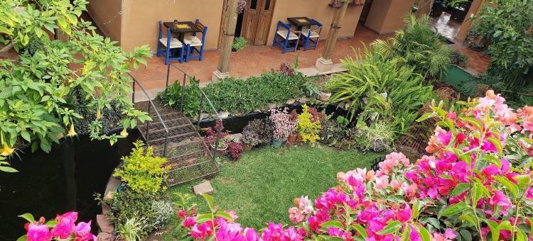 波萨达尤里胡安尼酒店(Posada Yolihuani)图片