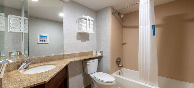 丹佛国际机场欢朋旅馆(Hampton Inn Denver-International Airport)图片