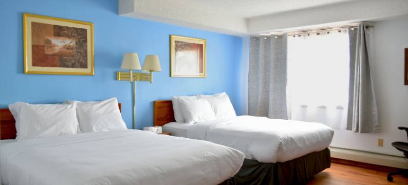 格伦代夫黄石河贝斯特韦斯特SureStay酒店(SureStay Hotel by Best Western Glendive Yellowstone River)图片