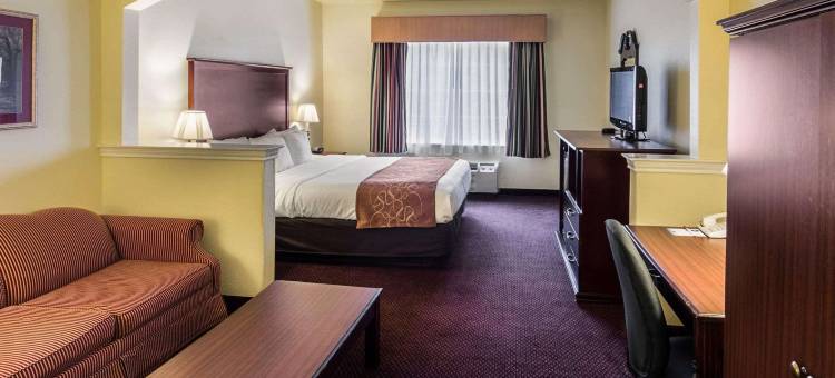 德克萨斯特克萨卡纳舒适套房酒店(Comfort Suites Texarkana Texas)图片