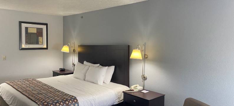 伊利诺伊丹维尔呗盟酒店(Baymont by Wyndham Danville IL)图片