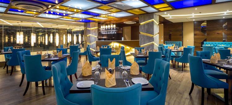 藏红花冠酒店(Hotel Saffron Crest)图片