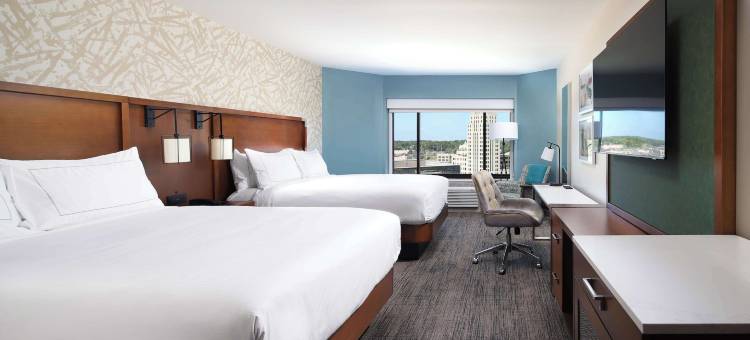 麦坎姆利广场酒店(DoubleTree by Hilton Battle Creek)图片