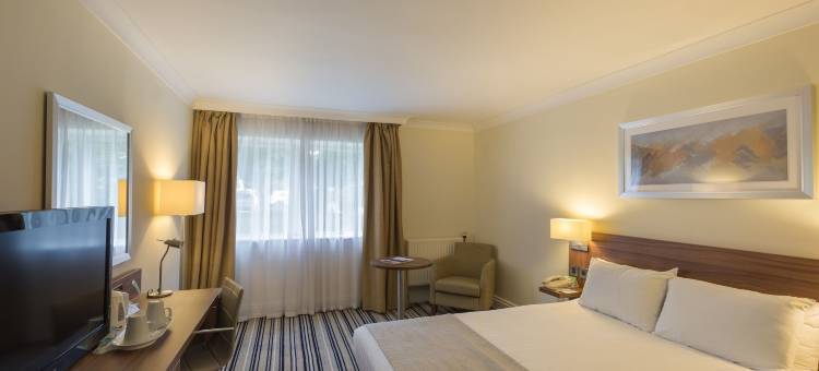 Holiday Inn 斯文顿(Holiday Inn Swindon)图片