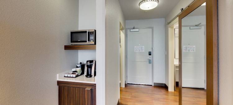 北休斯敦斯普林希尔顿花园酒店(Hilton Garden Inn North Houston/Spring)图片