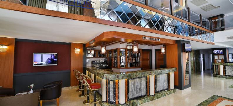 马拉松酒店(Elazığ Marathon Hotel)图片