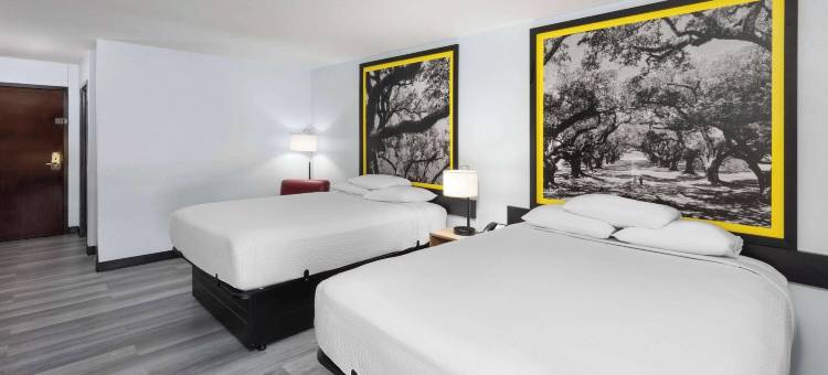 亚历山大温德姆速 8 酒店(Super 8 by Wyndham Alexandria La)图片