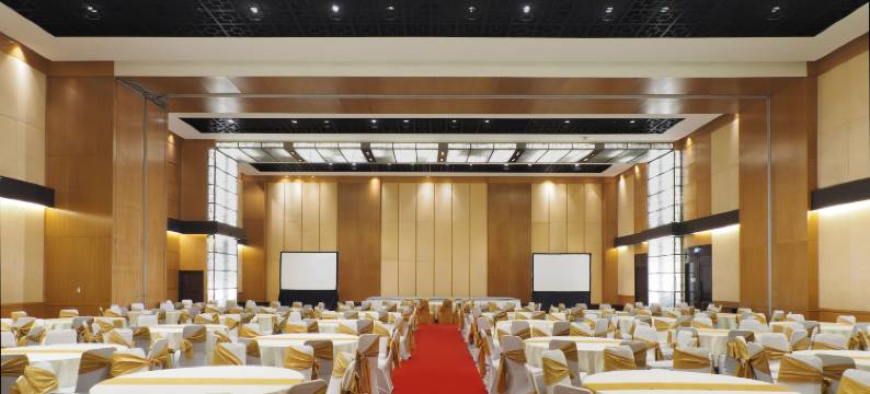 棉兰阿雅度塔酒店(Aryaduta Medan)图片