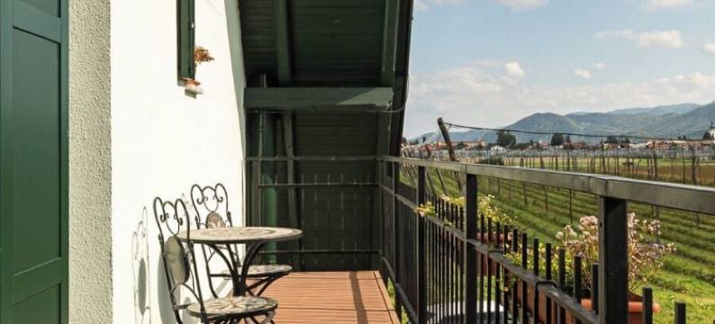 德沃雷茨民宿(Bed & Breakfast Dvorec)图片