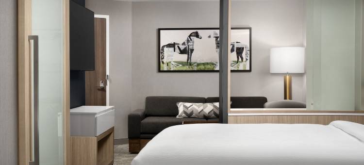 SpringHill Suites Lexington Fritz Farm图片