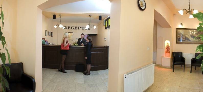 安姆比恩特膳食公寓酒店(Pensiunea Ambient)图片