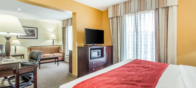 克林顿舒适套房酒店 - 近长老会学院(Comfort Suites Clinton Near Presbyterian College)图片