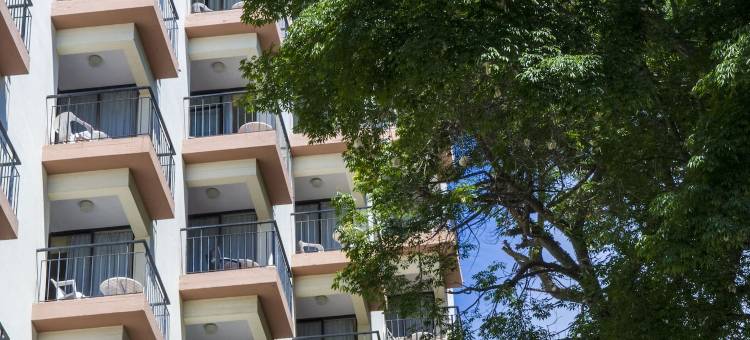 德里索布甘维利亚开放式客房酒店(Dorisol Buganvília Studio Hotel)图片