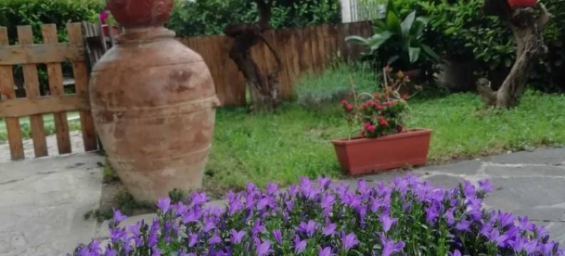 雪松民宿(B&B Il Cedro)图片